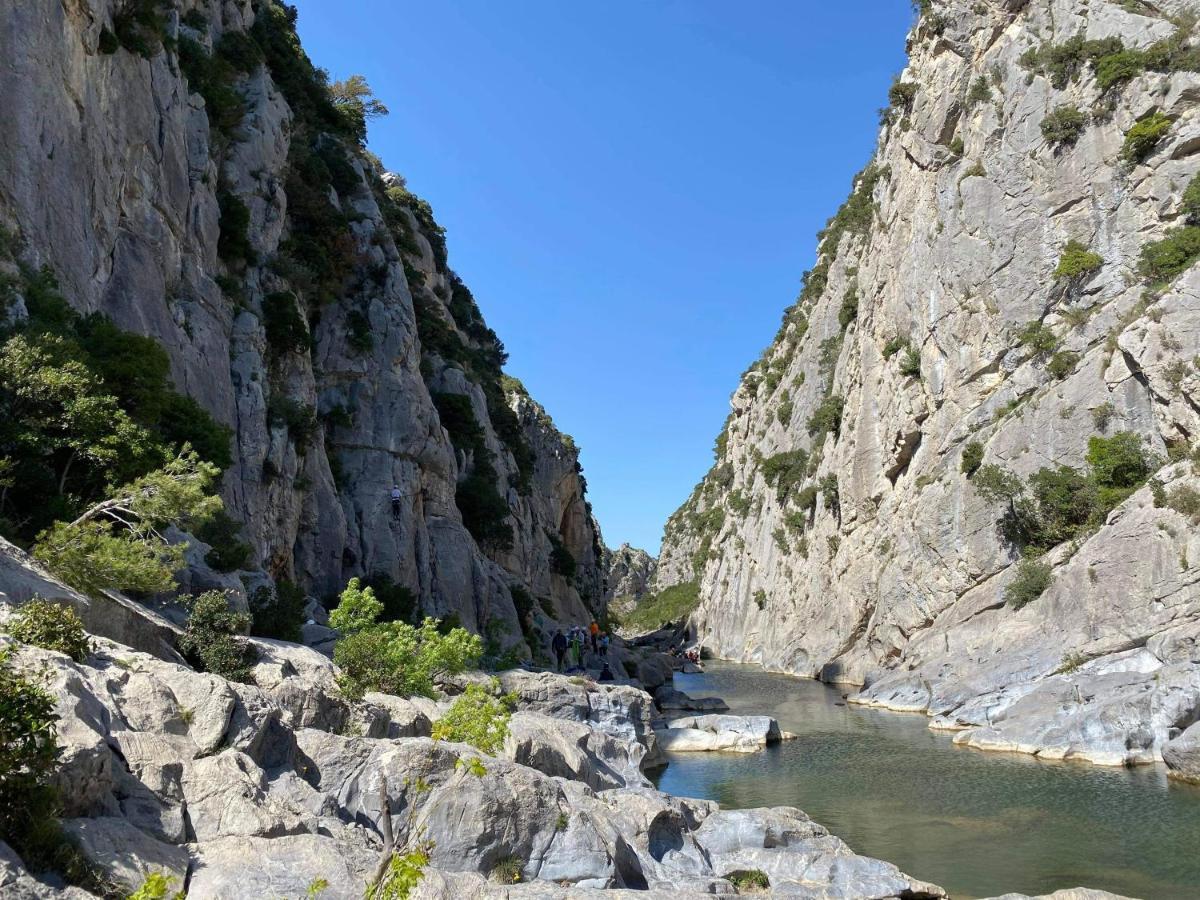 Trois Appartements Au Sein Du Mas Jams - Le Gouleyrous, Le Canigou Et Le Figarassa Vingrau Exterior photo